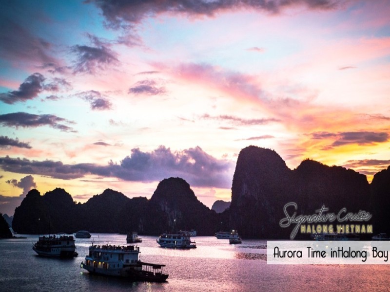 Cruise Image