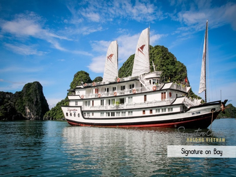 Cruise Image