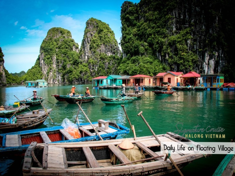 Cruise Image