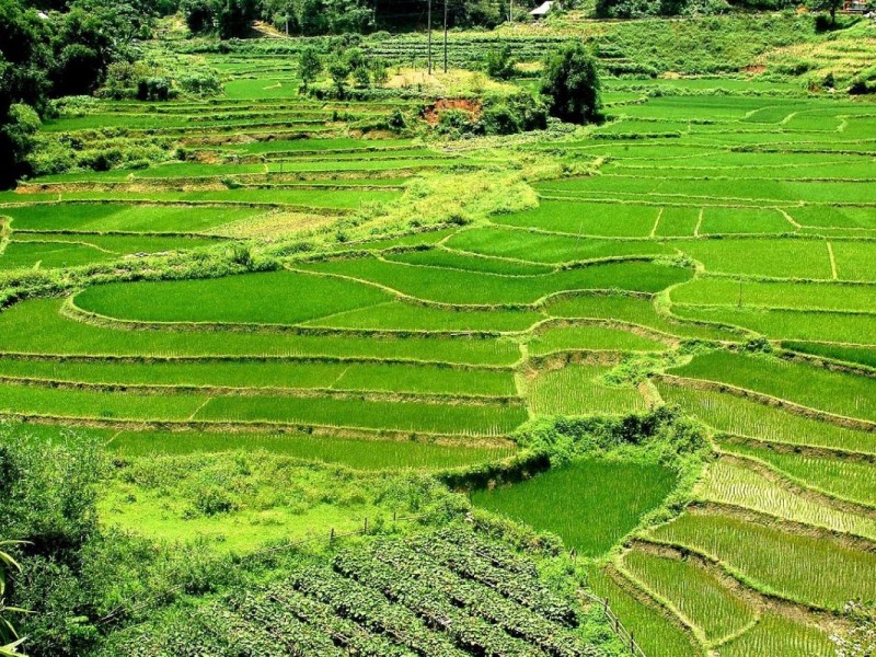 Aerial view of Hoa Binh province with river and green hills in Vietnam