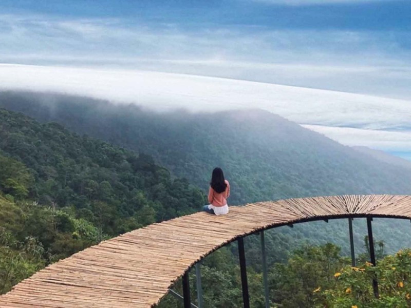 Traveler sitting on a bamboo bridge with a panoramic view at Tam Dao, Vinh Phuc