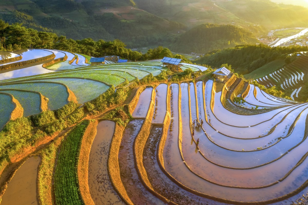 Stunning rice terraces in Yen Bai, showcasing the natural beauty of Northern Vietnam.