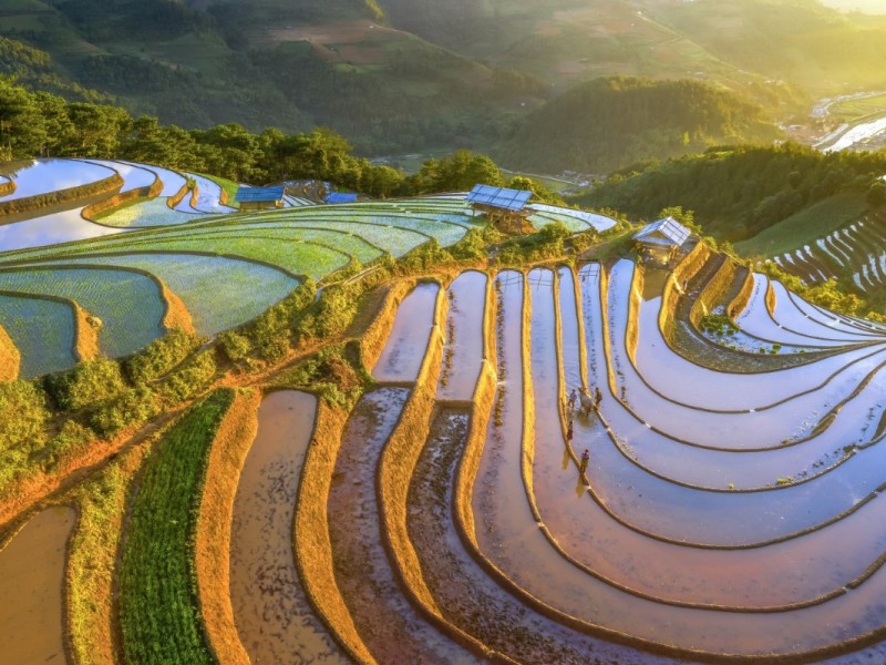 Stunning rice terraces in Yen Bai, showcasing the natural beauty of Northern Vietnam.