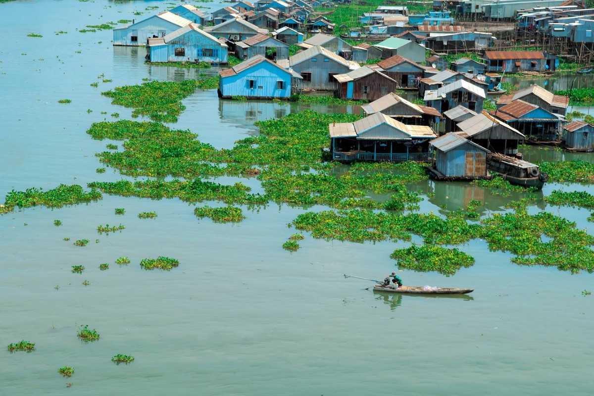 Bung Binh Thien Floating Village in An Giang Bung Binh Thien Floating Village surrounded by water hyacinths in An Giang