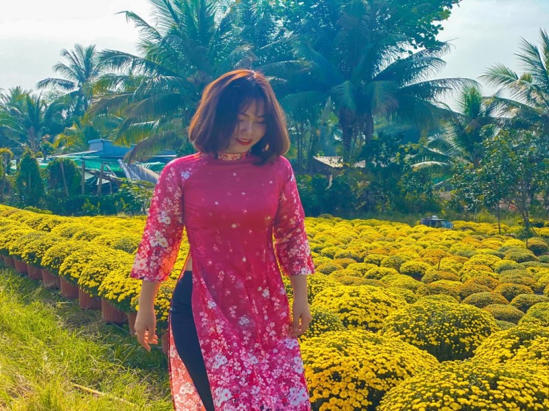 Ornamental flower beds in Cai Mon Flower Village, showcasing vibrant yellow blooms and traditional agricultural practices in Ben Tre.