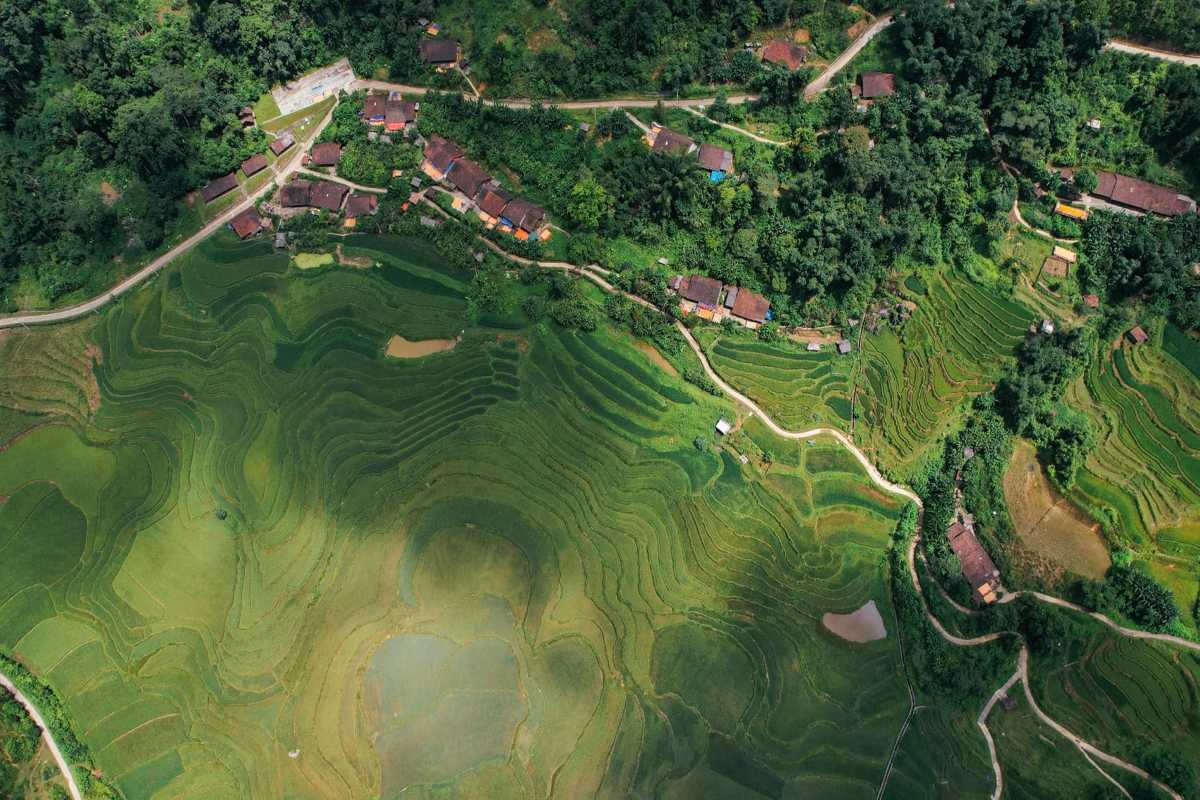 Cao Bang Travel Guide Terraced Rice Fields and Village View Aerial view of terraced rice fields and ethnic village nestled among green hills in Cao Bang province