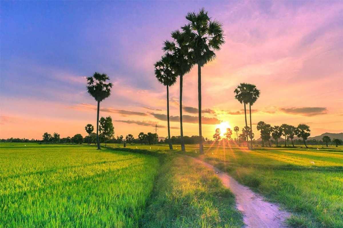 Check-in Spot in An Giang at Sunset Check-in location with palm trees and beautiful sunset in An Giang