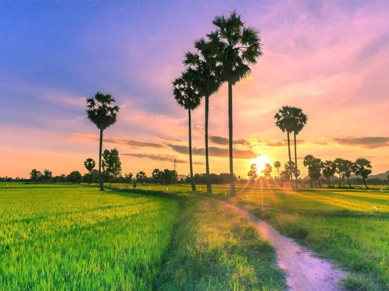 Check-in location with palm trees and beautiful sunset in An Giang