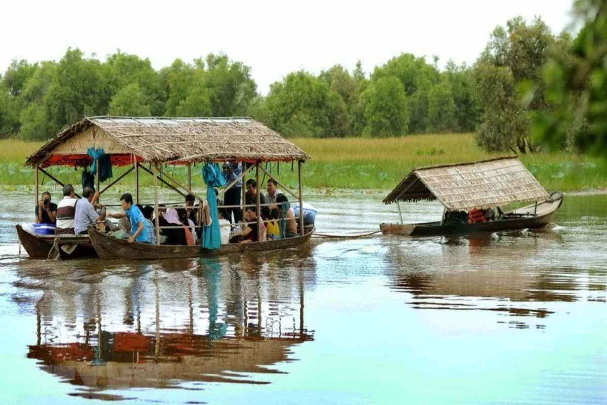 Dong Thap Travel Guide Scenic Mekong Delta Boat Tour Dong Thap scenic Mekong Delta boat tour with traditional wooden boats and green wetlands