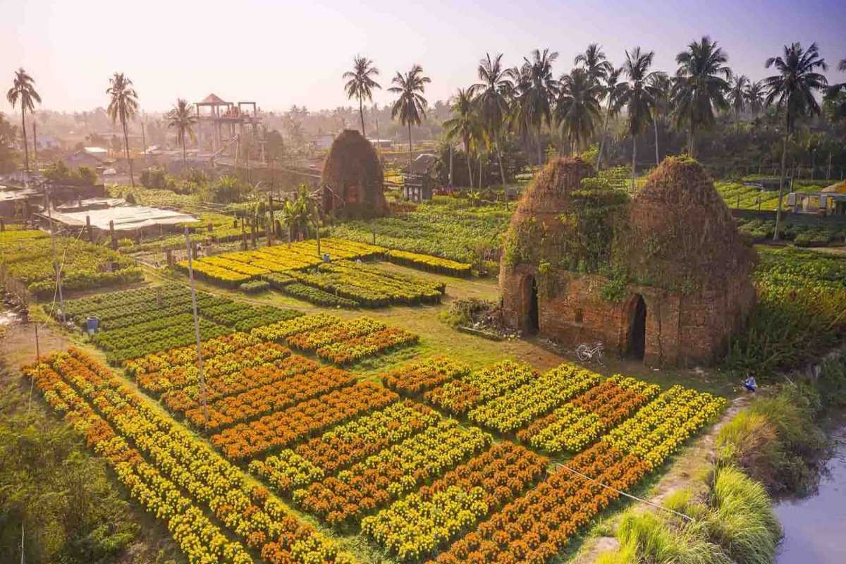 Dong Thap Travel Guide Sa Dec Flower Village Landscape Sa Dec Flower Village in Dong Thap with vibrant colorful flower fields and ancient Cham towers