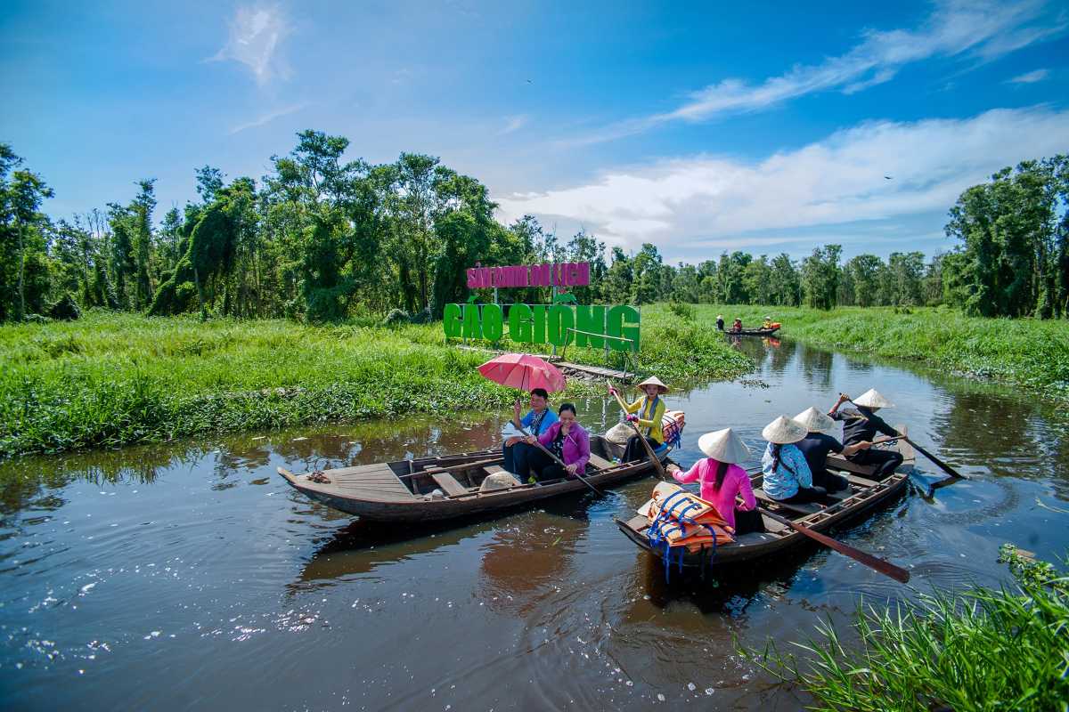 Dong Thap Travel Guide Scenic Lotus Flower Field View Expansive lotus flower fields in Dong Thap with traditional bamboo viewing towers