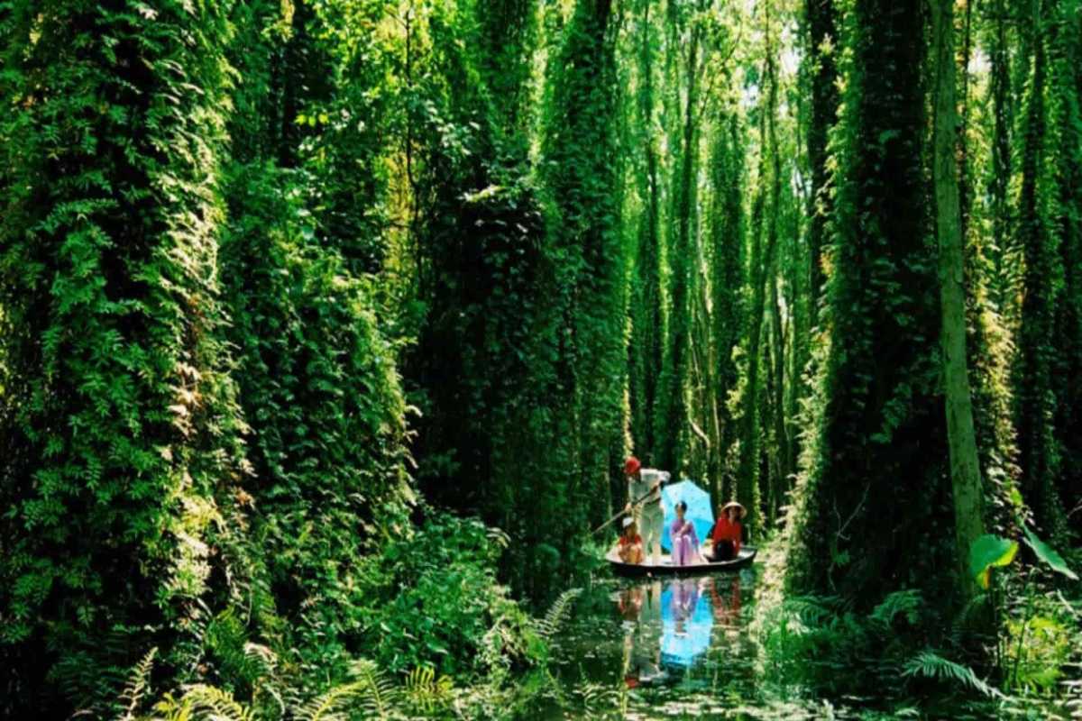 Dong Thap Travel Guide Xeo Quyt Jungle Boat Experience Xeo Quyt jungle forest in Dong Thap with tourists on a small wooden boat under green foliage