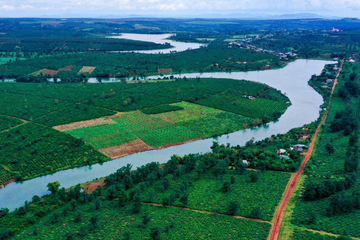 Gia Lai Central Highlands Verdant Landscape Expansive green tea plantations and forests stretch across Gia Lai’s Central Highlands region