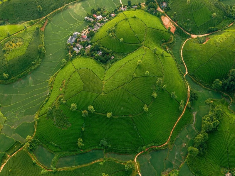 Aerial view of the Hung King Temple complex, nestled on Nghia Linh Mountain in Phu Tho