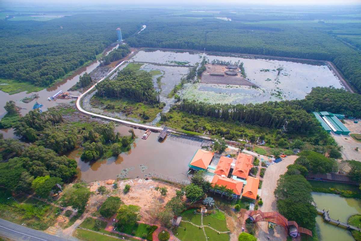 Long An Travel Guide overview of Dong Thap Muoi wetlands Aerial view of Dong Thap Muoi wetlands with lush green mangroves and water bodies in Long An Travel Guide area