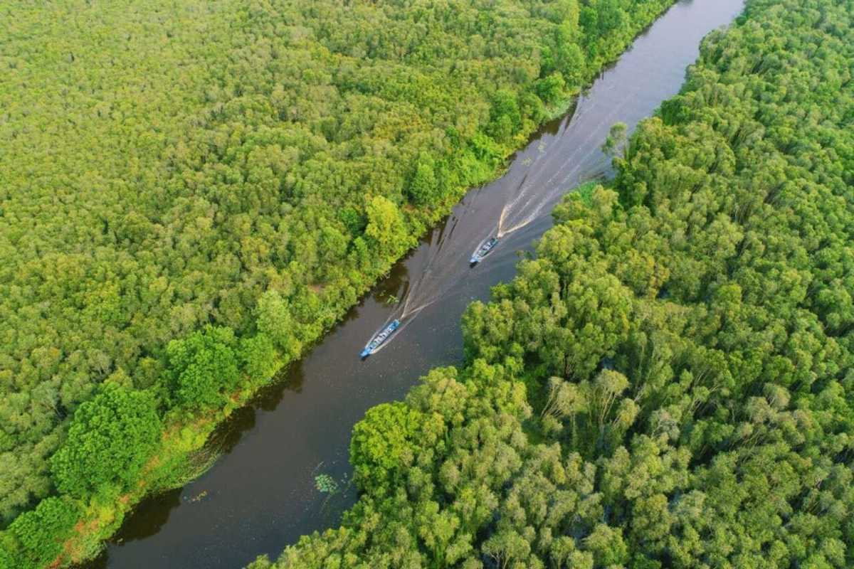 Long An Travel Guide boats navigating wetland riverways Motorboats traveling through dense mangrove-lined waterways in Long An Travel Guide wetlands