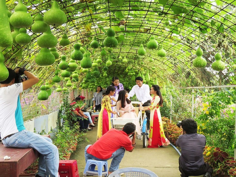 Visitors enjoying a picturesque walk through the flowers at Man Dinh Hong Flower Garden, Tien Giang.