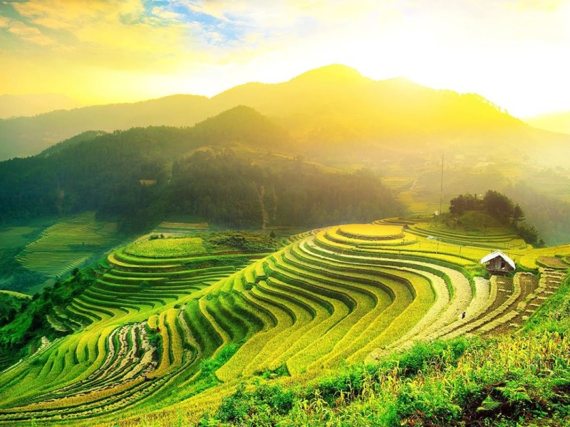 Paraglider soaring above Mu Cang Chai's scenic green rice terraces.