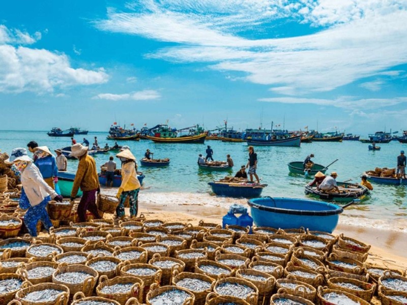 Fishing boats and fishermen at Mui Ne Fishing Village in Binh Thuan Province