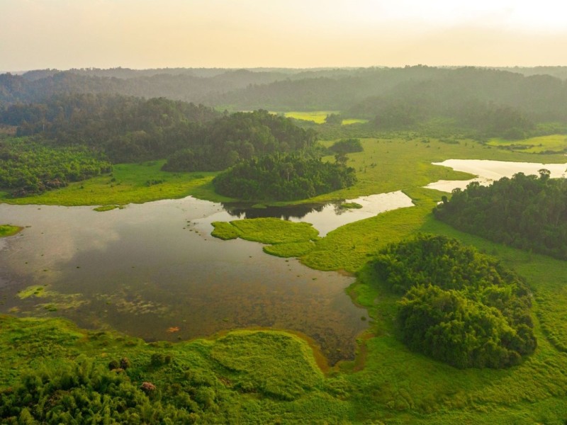 Aerial view of the dense forest and waterways in Nam Cat Tien National Park, Dong Nai