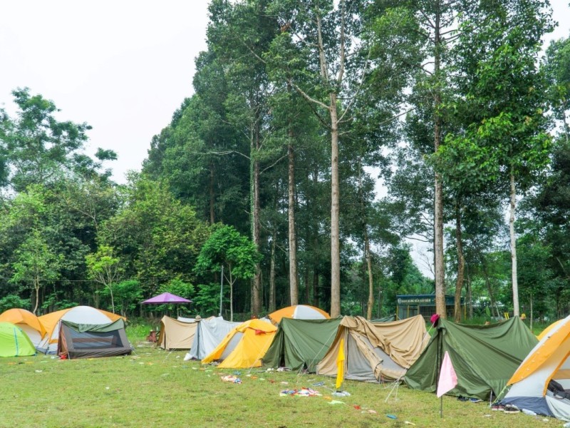 Dense forest and rivers running through Nam Cat Tien National Park in Dong Nai, a prime destination for nature lovers