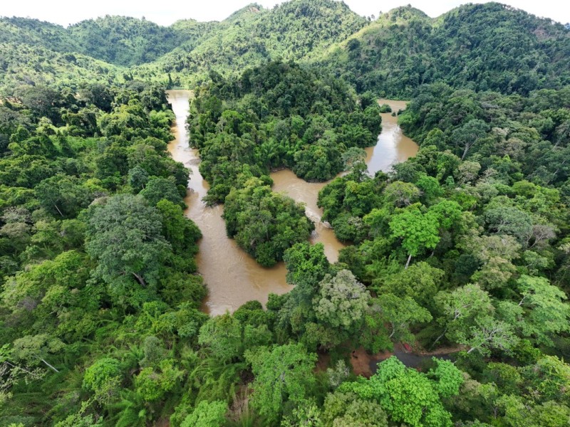 Expansive view of Nam Cat Tien National Park's lush green landscape in Dong Nai province