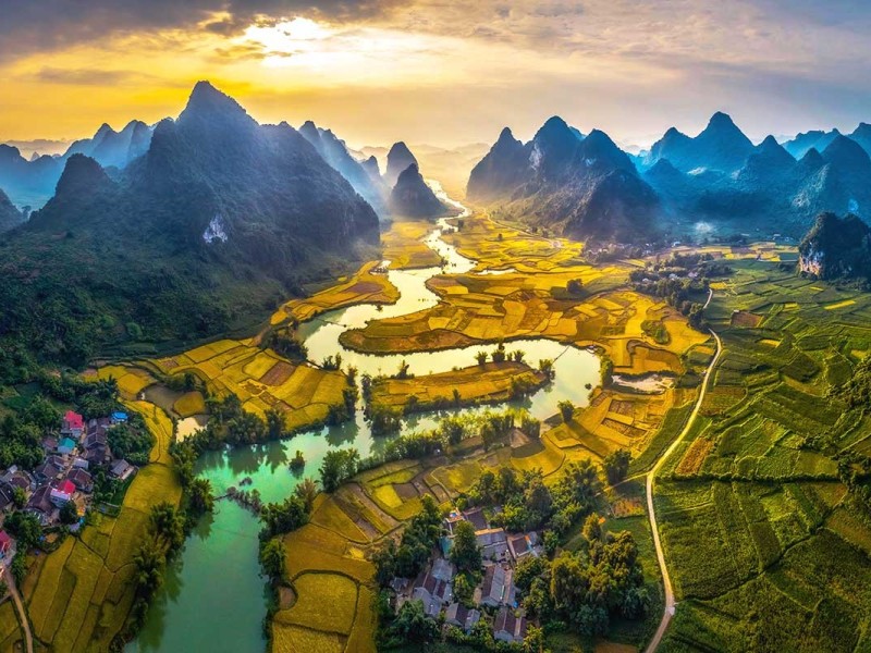 Breathtaking view of Phong Nam Valley in Cao Bang with golden rice fields and towering limestone mountains.