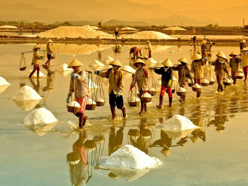 Laborers harvesting salt at Sa Huynh Salt Field Quang Ngai during a golden sunset.