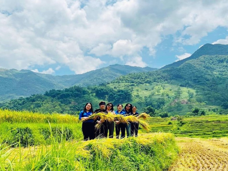 Tourists exploring rice fields in Bac Kan during harvest season