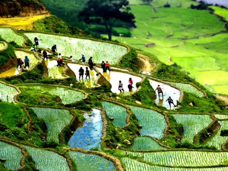 Panoramic view of Sa Pa hill with traditional village homes and green terraces