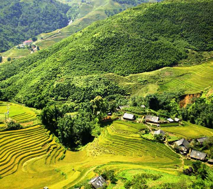 8 days trek though Hoang Lien National Park to Ban Ho valley