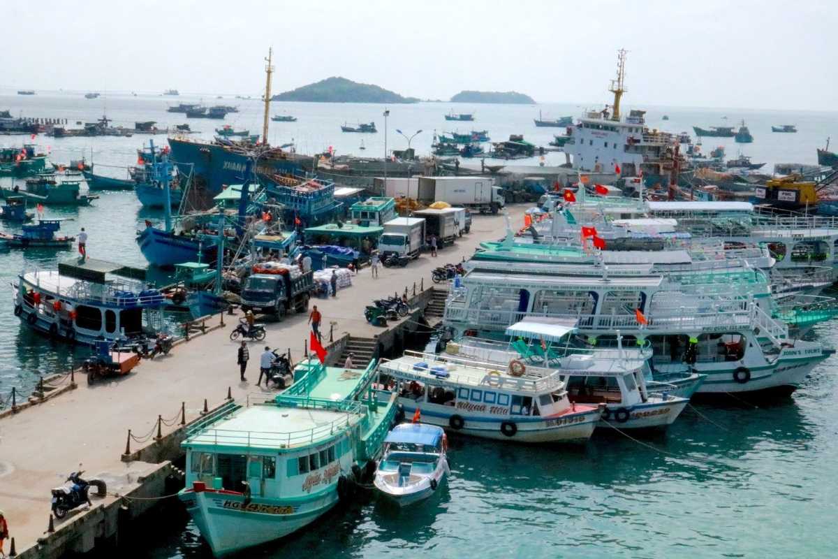 A busy morning at An Thoi Harbor with colorful speed boats lined up for the Phu Quoc 4 Islands Trip.