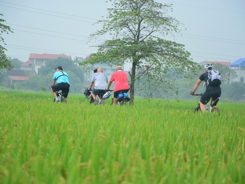 Half-Day Hanoi Countryside Bike Tour Scenic Red River & Co Loa