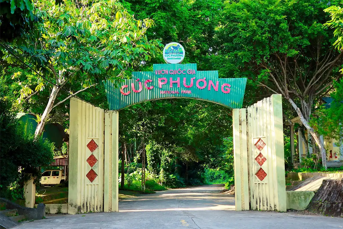Full day Explore Cuc Phuong National Park from Hanoi