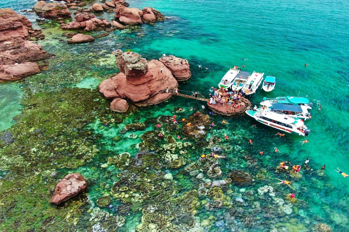 Colorful coral reefs and vibrant snorkeling action at Gam Ghi Island on the 3 island speedboat tour Phu Quoc.