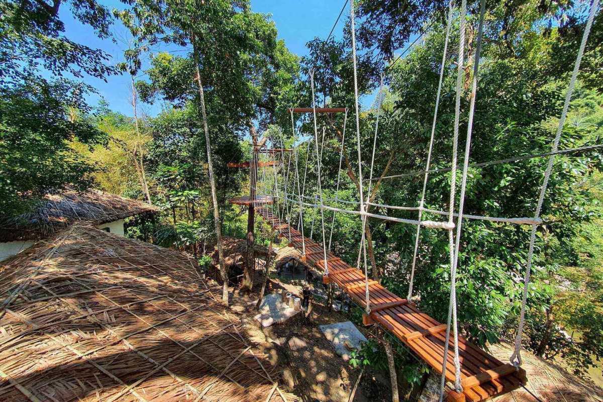 Dense jungle trekking path inside Kong Forest surrounded by tropical trees and greenery