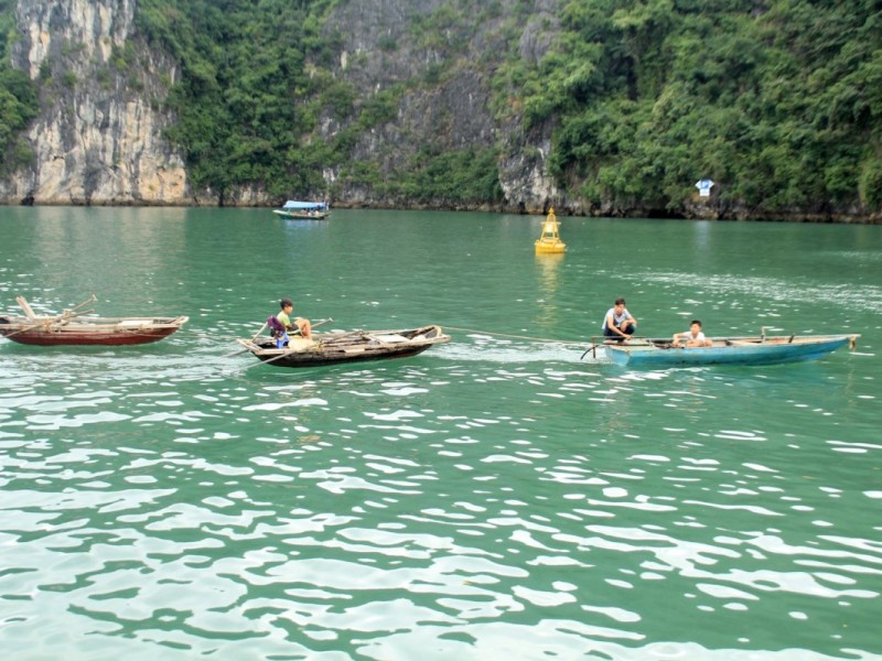 Row boats in Cat Ba Island's fishing village with locals paddling through calm waters.